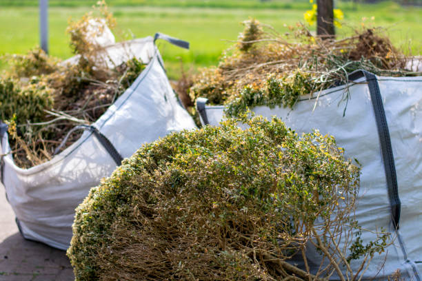 Reliable Mount Ayr, IA Junk Removal Services Solutions