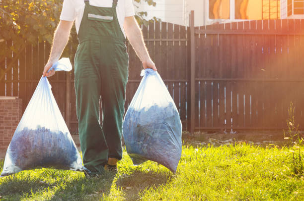 Best Furniture Removal  in Mount Ayr, IA